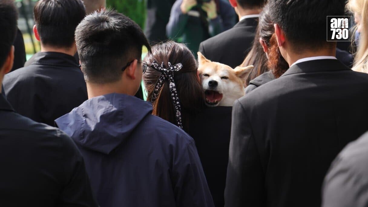 何偉豪未婚妻Kiki 抱住二人的愛犬多多出席喪禮。